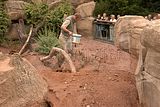 leipzig zoo-01_07_2011_zoo_allgemein_346